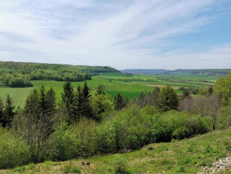 Le Nid D'Alex Spa , Rando Et Table D'Hote Autigny-la-Tour Kültér fotó